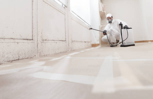 24/7 Emergency Commercial Mold Remediation experts in Bunn, NC